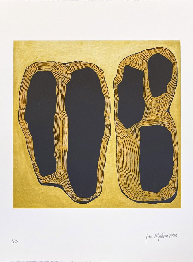 Jan Håfström: Terra incognita