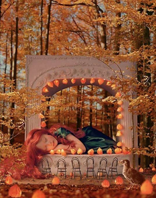 Helena Blomqvist: The Forest Theatre